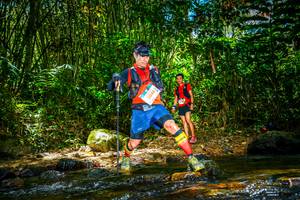 BIB: 5048
                            <button type="button" onclick="openModal(21771208)" class="btn btn-primary btn-sm float-right btn-popup" data-toggle="modal" data-target=".modal-high-quality">
                        <i class="fas fa-shopping-cart"></i> Add to Cart
                    </button>
                                            <button type="button" onclick="isThisMe(21771208, true)" class="btn btn-success btn-sm float-right btn-popup btn-isme hidden" data-toggle="tooltip" data-placement="bottom" title="นี่คือรูปของคุณใช่ไหม คลิกที่นี่เพื่อเอาเข้าอัลบั้ม">
                        <i class="fas fa-plus"></i> Add to album
                    </button>
                    <button type="button" onclick="isThisMe(21771208, false)" class="btn btn-warning btn-sm float-right btn-popup btn-isnotme hidden">
                        <i class="fas fa-ban"></i> Remove from album
                    </button>